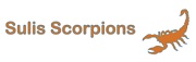 Sulis Scorpions CC